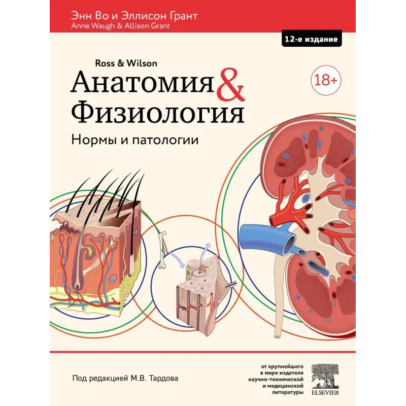 Анатомия и физиология. Нормы и патологии