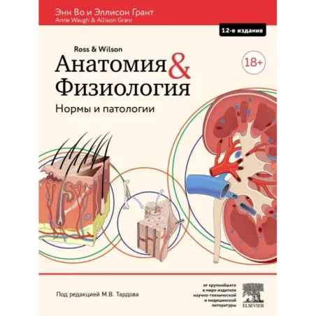 Анатомия и физиология. Нормы и патологии