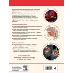 Анатомия и физиология. Нормы и патологии