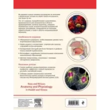 Анатомия и физиология. Нормы и патологии