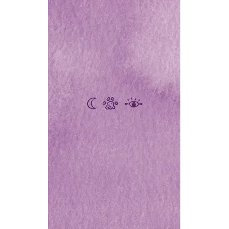 Cat Tarot. Таро Котиков (78 карт и руководство в подарочном футляре)