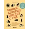 Кошки, которые сводят с ума. Почему кошки психуют и что делать с их проблемным поведением