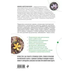 Декоративные лекарственные растения на даче. Как выращивать, заготавливать и применять 200 популярных видов