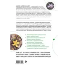 Декоративные лекарственные растения на даче. Как выращивать, заготавливать и применять 200 популярных видов