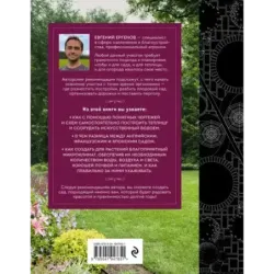 Сад тысячи возможностей. Как благоустроить и озеленить участок