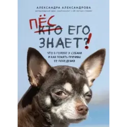 Пес его знает! Что в голове у собаки, и как понять причины ее поведения