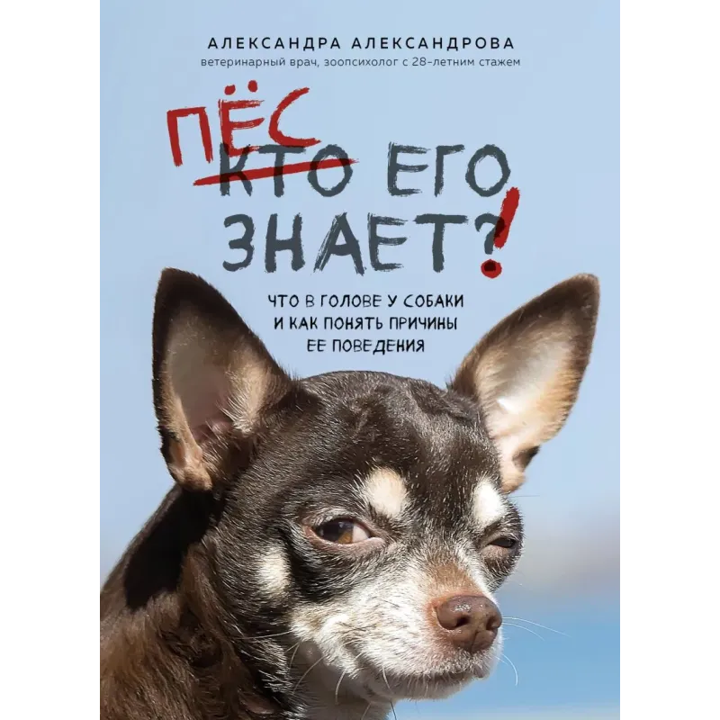 Пес его знает! Что в голове у собаки, и как понять причины ее поведения