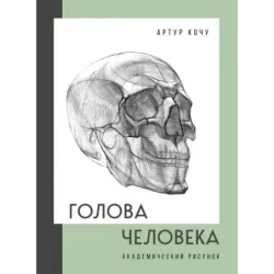 Голова человека. Академический рисунок