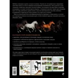 Лошади. Самая полная иллюстрированная энциклопедия