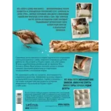 Домашняя пекарня. Полное руководство по выпечке от профессионалов