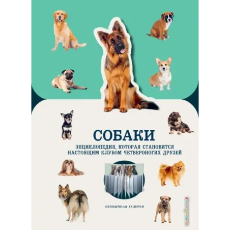 Собаки