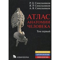 Атлас анатомии человека....