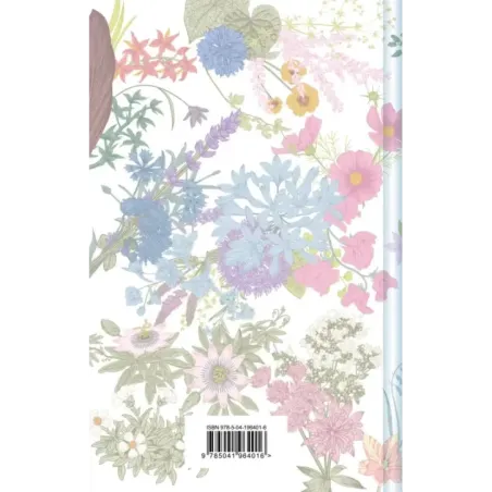 Анин Дом Мечты