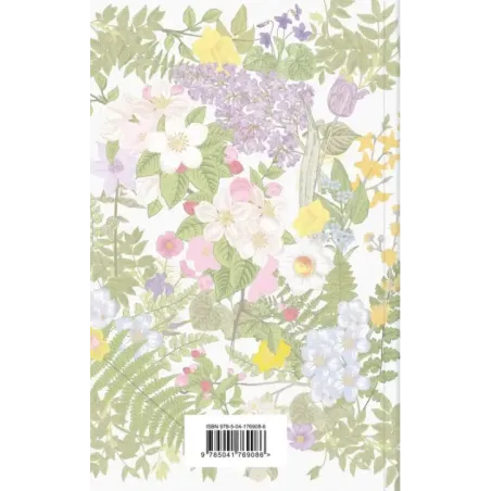 Аня из Зеленых Мезонинов