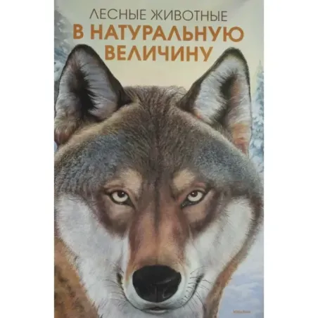 Лесные животные в натуральную величину