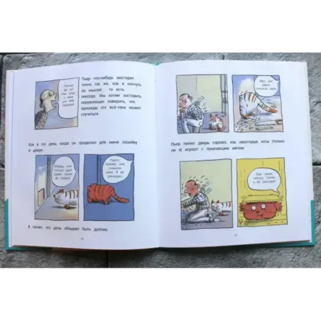 Кот Пончик. Дом кота