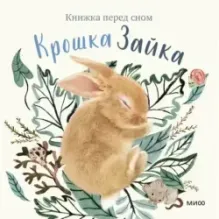 Крошка Зайка