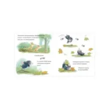 Книжки-картинки. Лапы прочь от мёда!