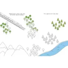 Куда спешит машина?