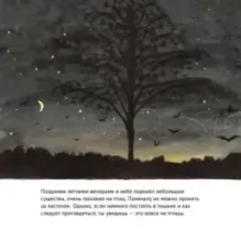 Удивительные летучие мыши