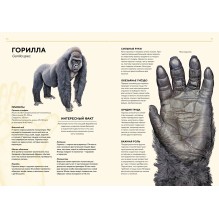 Животные Африки в натуральную величину