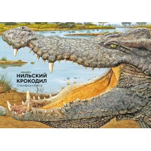 Животные Африки в натуральную величину