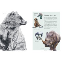 Тайны дикой природы