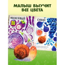 Первые книжки малыша. Приключения улитки Элли в мире фруктов и овощей (мягкая обложка)