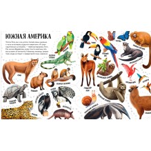 Первые книжки малыша. Приключения улитки Элли в мире животных (мягкая обложка)