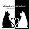 Чёрный кот, белый кот