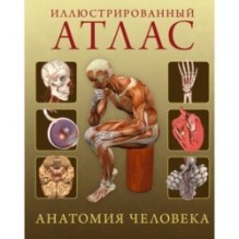 Иллюстрированный атлас. Анатомия человека
