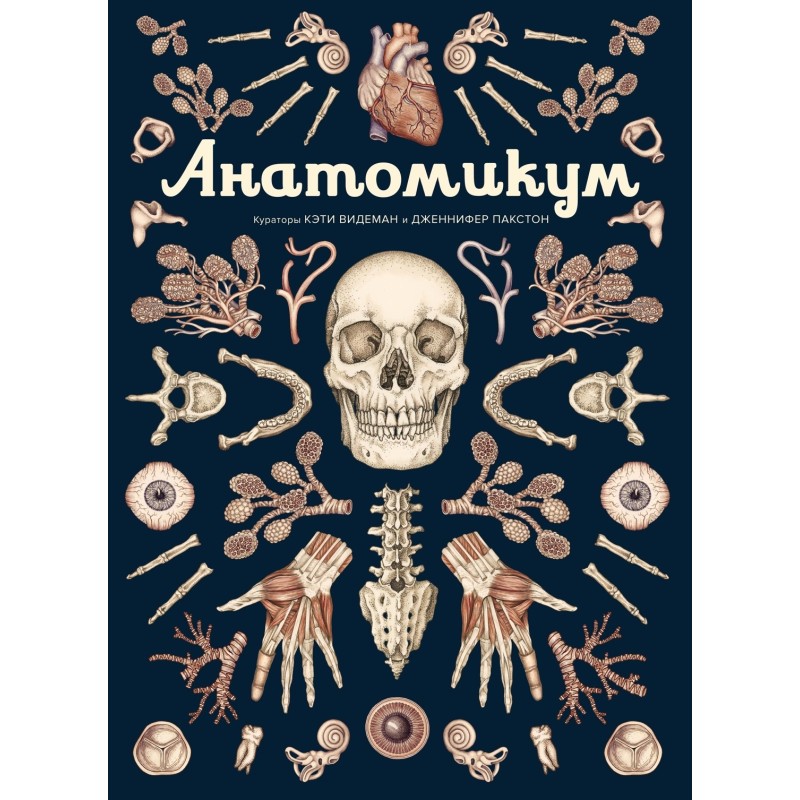 Анатомикум