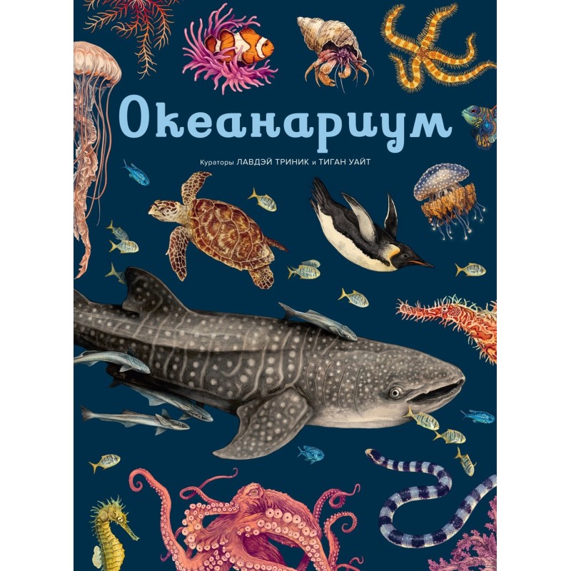 Океанариум Океанариум