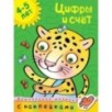 Цифры и счет (4-5 лет)