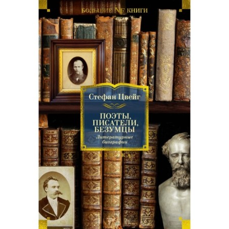 Поэты, писатели, безумцы. Литературные биографии