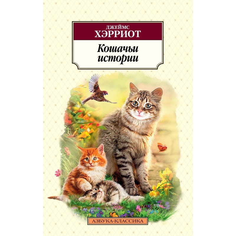 Кошачьи истории