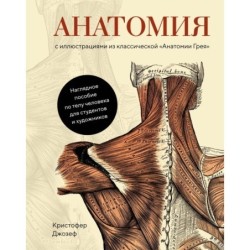 Анатомия  (с иллюстрациями из классической «Анатомии Грея»)