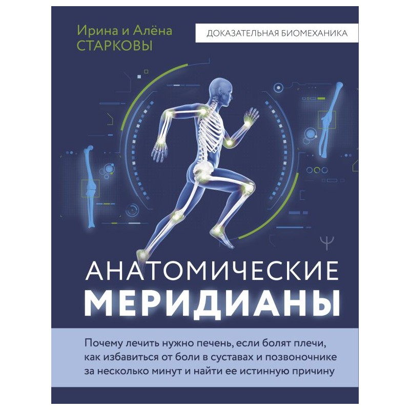 Анатомические меридианы Анатомические меридианы
