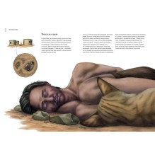 Как кошка приручила человека: история кошек и людей