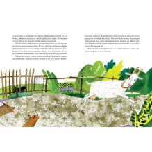 Знакомая корова