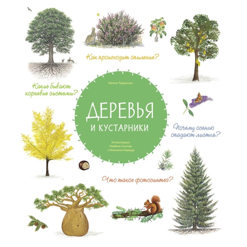 Деревья и кустарники Деревья и кустарники