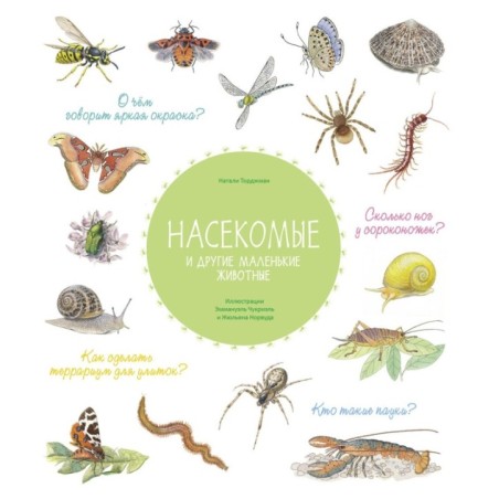 Насекомые и другие маленькие животные