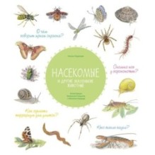 Насекомые и другие маленькие животные