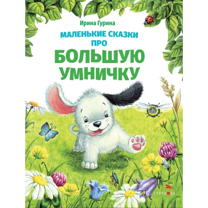 ДХЛ. Маленькие сказки про большую умничку