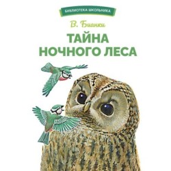 БШ. Тайна ночного леса