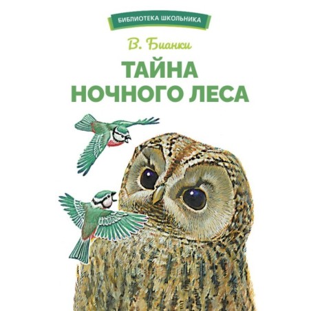 БШ. Тайна ночного леса