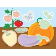 Многоразовые водные раскраски. Выпуск 12 (Овощи)