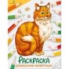 Окружающий мир. Раскраска. Домашние животные