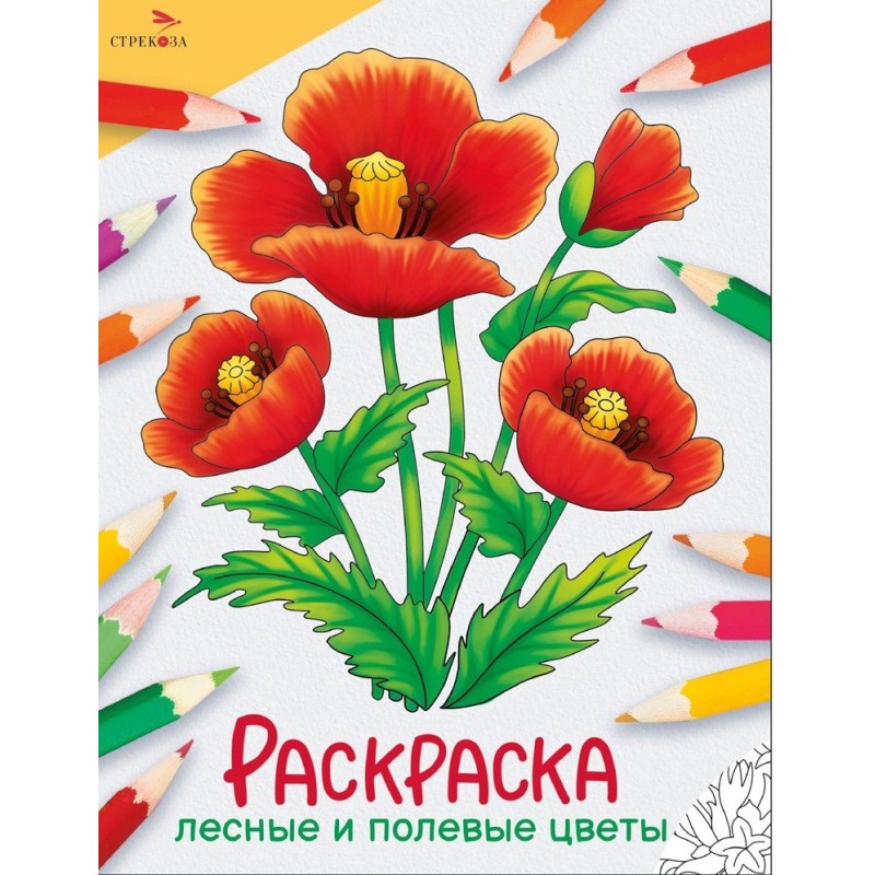 Окружающий мир. Раскраска. Лесные и полевые цветы