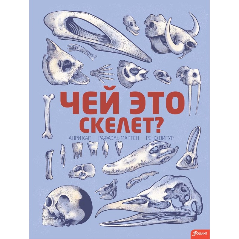 Чей это скелет? (с клапанами)